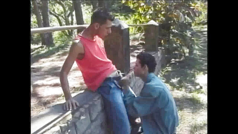 GAY VINTAGE PORN: Gay follado en la calle