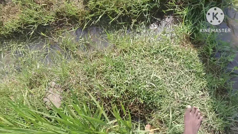 Nenika: La cuñada de la vecina fue al baño, la llamó...