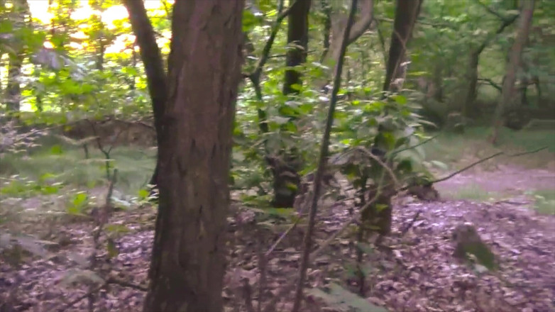 BELLOeBIOTTO: Bella Sega E Lunga Sborrata, a Torso Nudo, in Un...