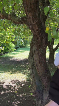Masturbation en solo dans la forêt