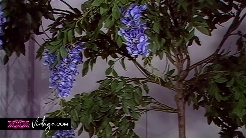 XXX-Vintage: 一个接一个