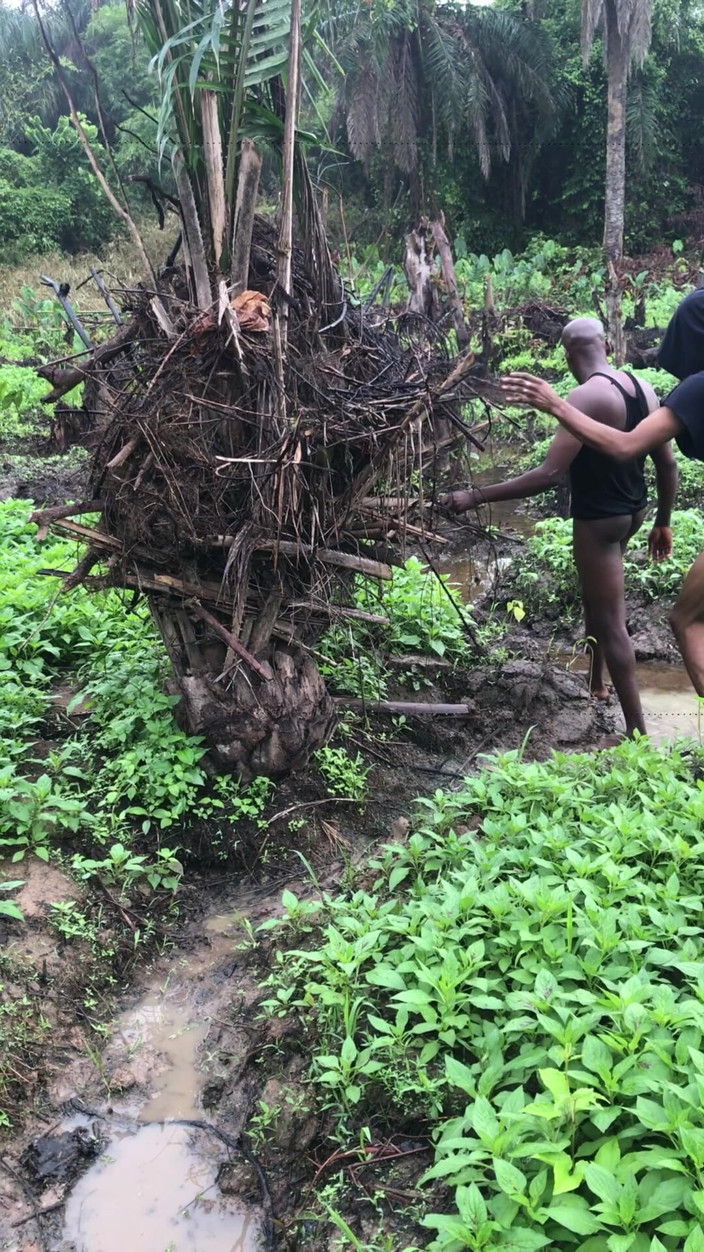 Sexylary: Fuck Inside a Farm Land Rounder My Swamping Waters