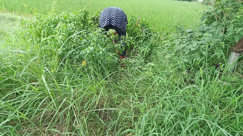 MHM: Venkovní sexuální videa nejlépe viděná