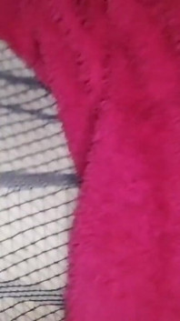 Real House Maid Was Seducing Me Without a Bra and Put It in the Mouth