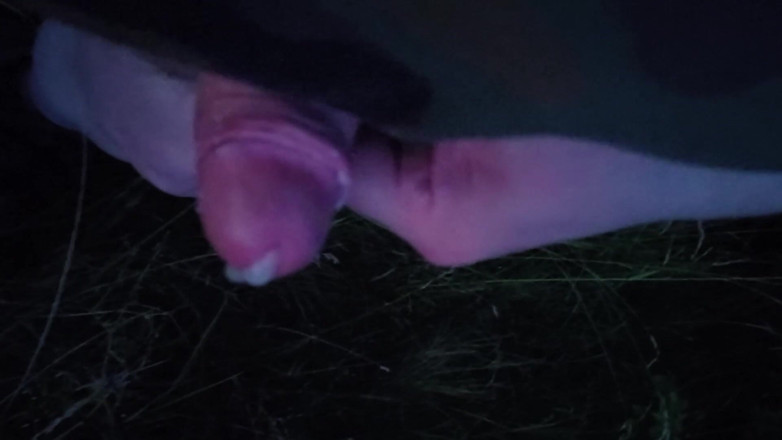 Player026: Nice Wank in the Park