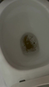 Piss of Me
