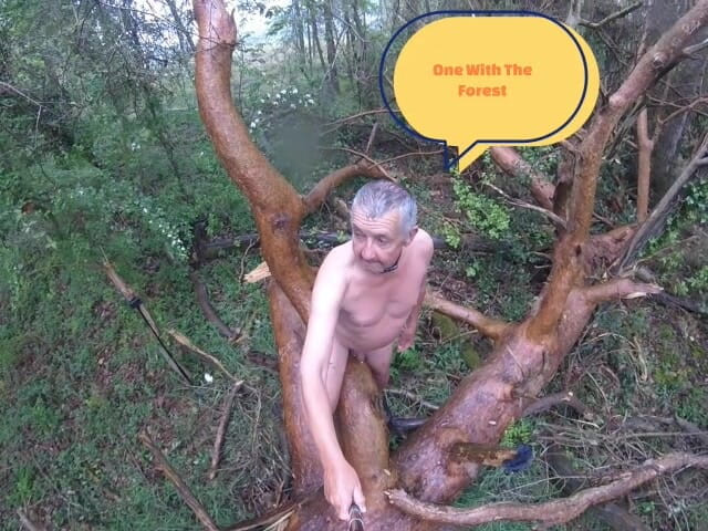 Andy: Lucruri pe care le găsești 3