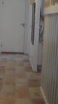 Jen Is Walking Around Naked in the Hallway