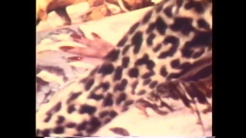 Vintage Usa: Once Es war eine Zeit in Amerika XXX - Vol. # 04