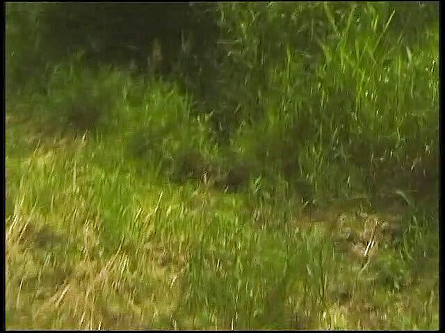 Xfamster: Behaarte blonde reife haben eine schöne zeit im freien