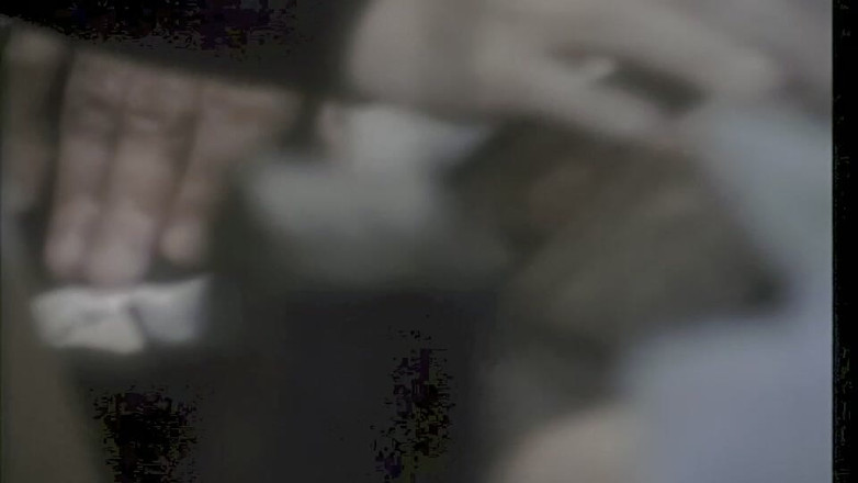 Inhonorof porn: Cicciolina Och Andra Slampor Ligger Med Rocco Siffredi Och Roberto...