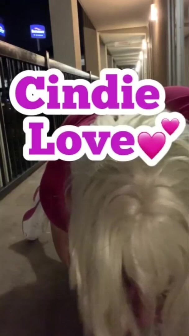 CindieLove: Unbelievable hotel sidewalk play dildo anal passion