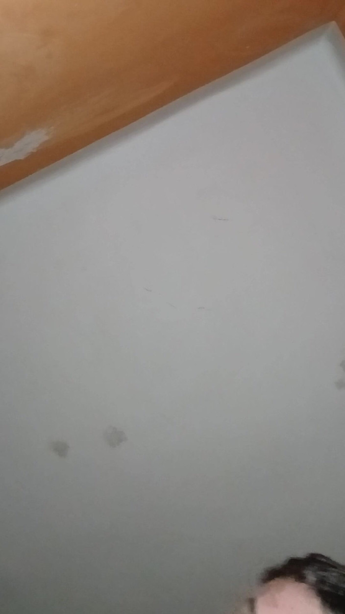 frapla: Sex Dolls Amateur