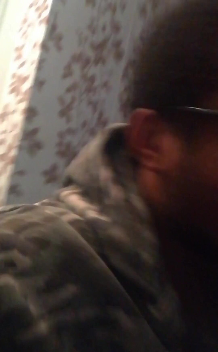 Amadeus: Atualizar o modo Amadeus