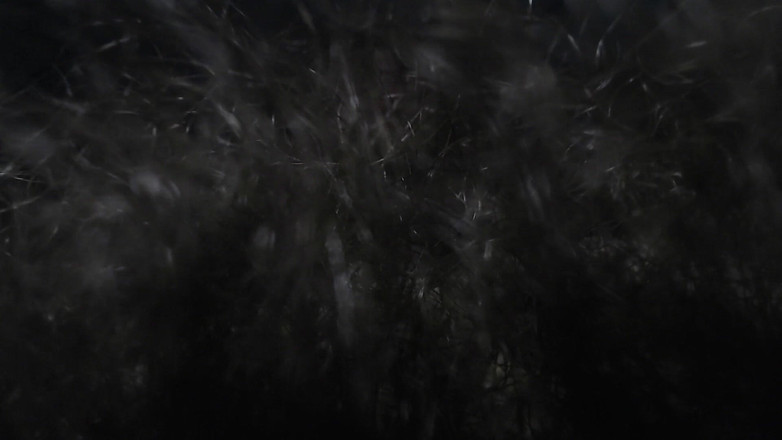 Hunky time: Leder-papi, verehren und riechen meine langen schamhaare