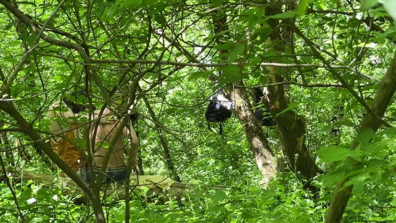 1TeddyBear1: Sex in the Woods, Two Dicks. Part 1. Original 4K Version