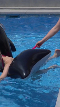Lesbian Girls Are Having Fun in a Pool with an Inflatable Shark