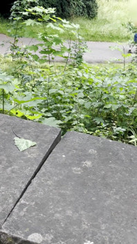Awek montel memberikan handjob selamba yang sempurna di taman - berisiko dan selamba