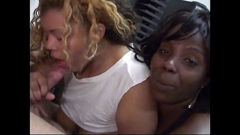 Hot Sex Party: Cewek-cewek pantat montok lagi asik jilat kontol ngaceng dan wajahnya...