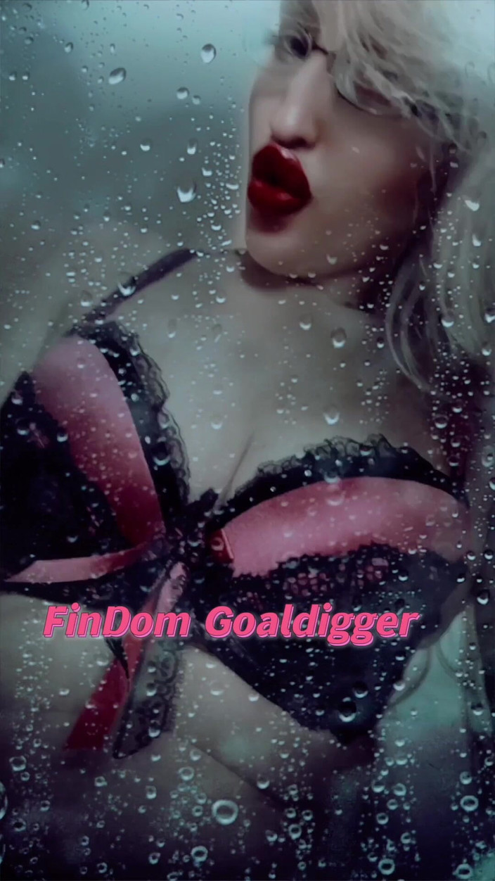 FinDom Goaldigger: あなたは私をとても愛しています