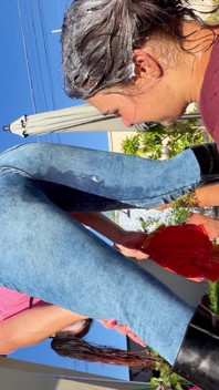 Meninas bagunçadas à beira da piscina, jeans molhados, creme e provocações sujas - parte 1