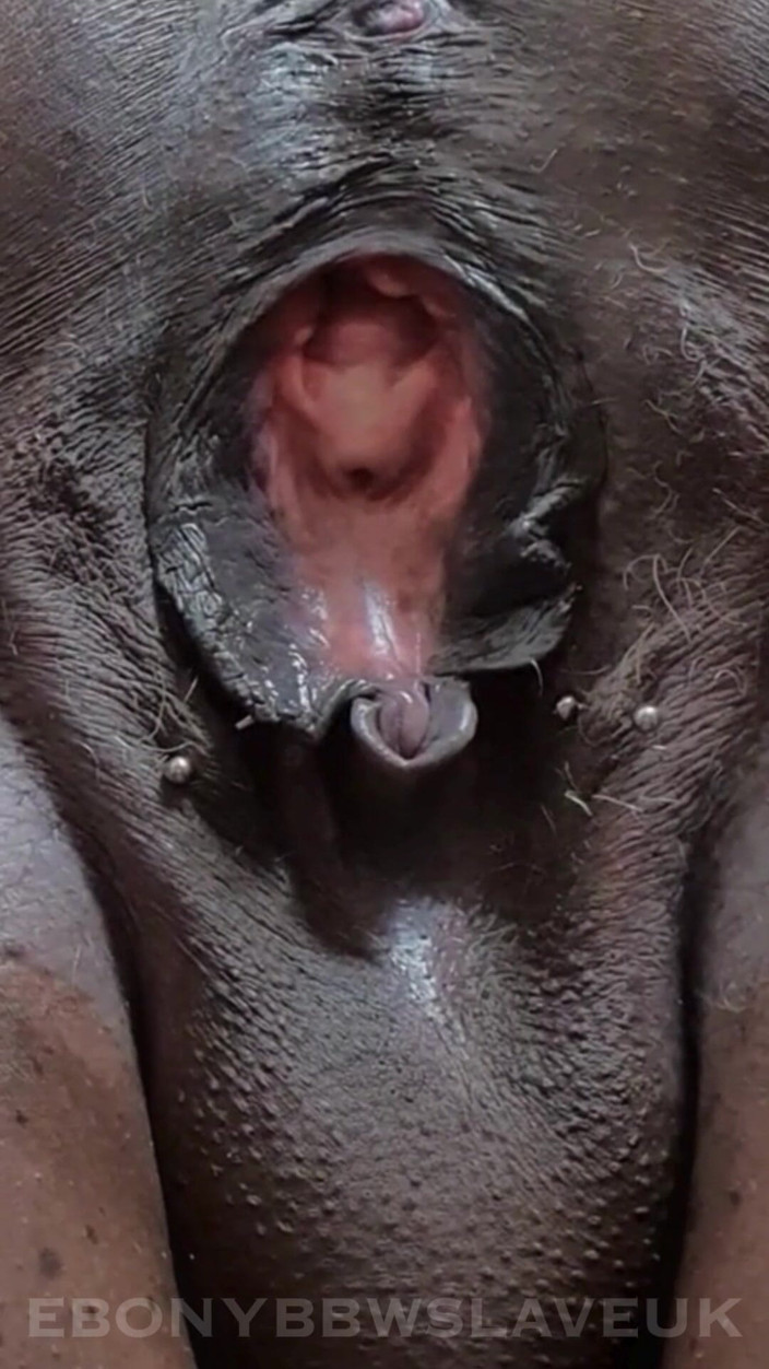 Ebony BBW slave UK: My Big Black Fat Gaping Cunt