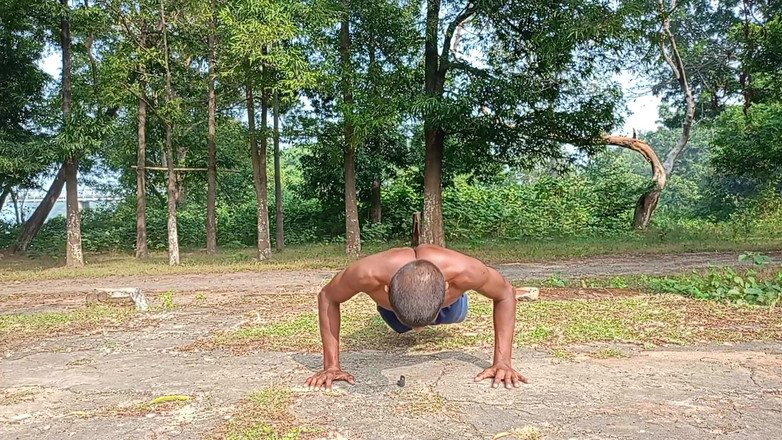 LinearOrnament35: 100 push up виклик живий муркотіння