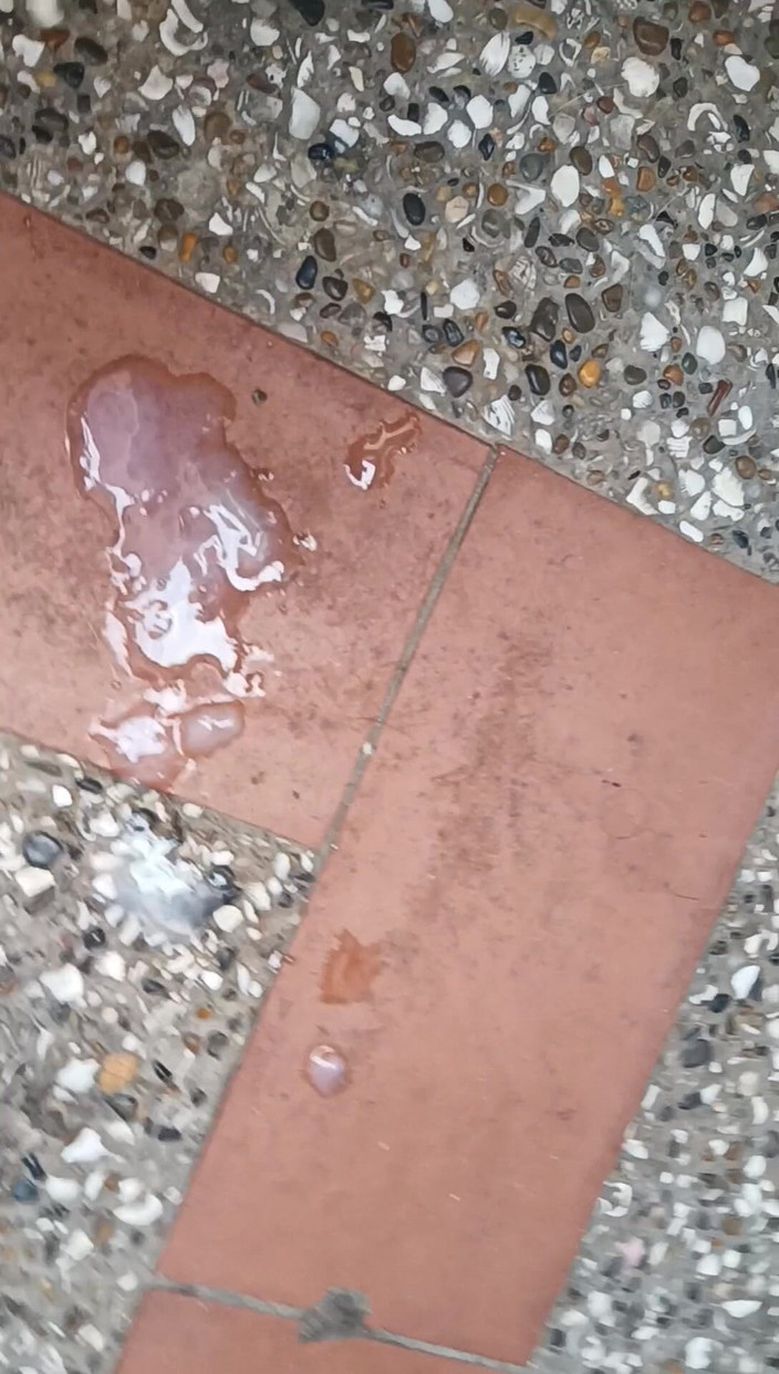 Tommhot: Masturbuję się, a na podwórku jęczę i mówię brudno