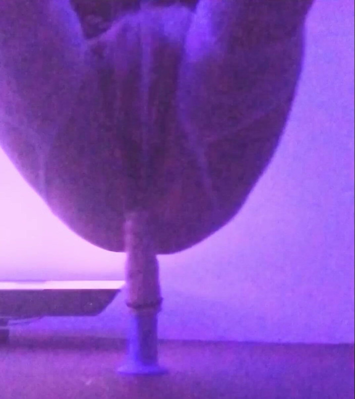 Amanda Love: Ich klaffe mein loch extrem