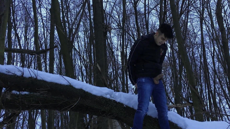 Idmir Sugary: Winter Honění v Snowy Land dvakrát