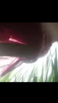 Green Garden Full Sex Video Hasinabegum1234