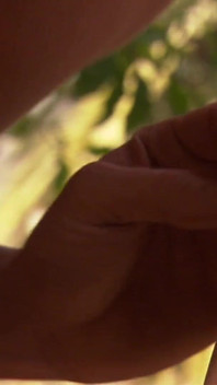 Jezebelle Bond dikongkek oleh kekasihnya dalam pakaian dalam seksinya