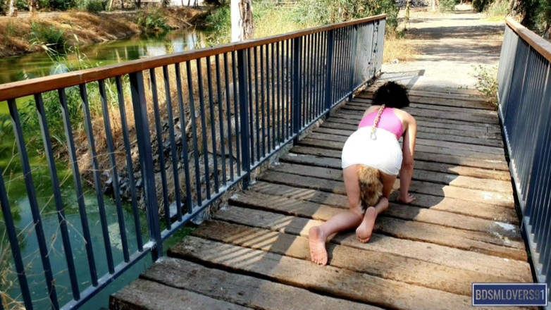 Bdsmlovers91: La troia kitty cammina al parco - versione colorata