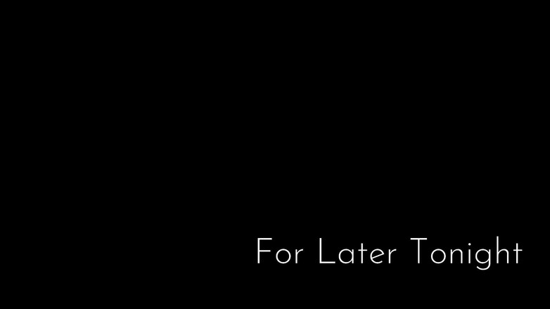 Flight Attendant Fiona: Fa Fiona准备在今晚晚些时候飞行和乐趣