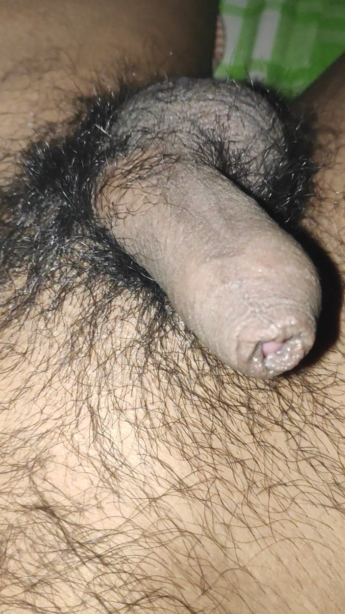 Bearfather123: Single Boy