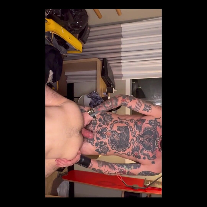 Stallion papi: Một chút chậm trễ