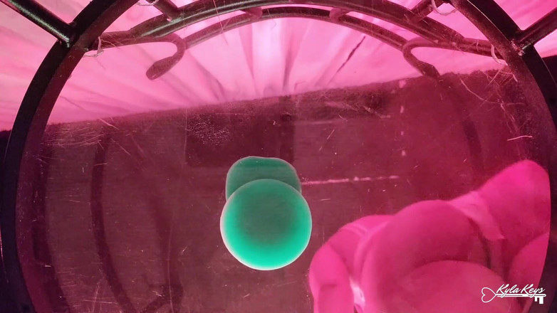 Kyla Keys: Uma vista do fundo