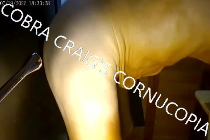 COBRA CRAIG: 7-19-2026 Back with My Not so Tiny BBC
