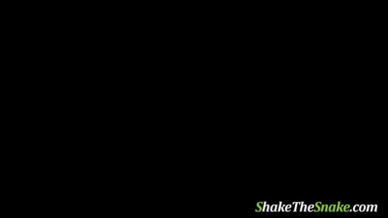 Shake The Snake: Shake The Snake - Local family ties - DVD