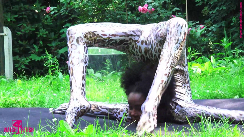 Gymnastic: Surprise in the Glass Box