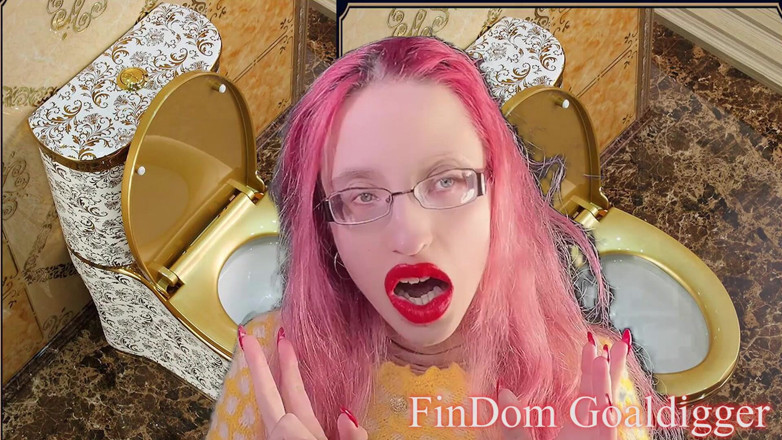 FinDom Goaldigger: Toilet cleaner servant transformation!