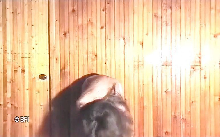 Hardcore Lovers: ヴィンテージ鋳造の素敵なブルネット