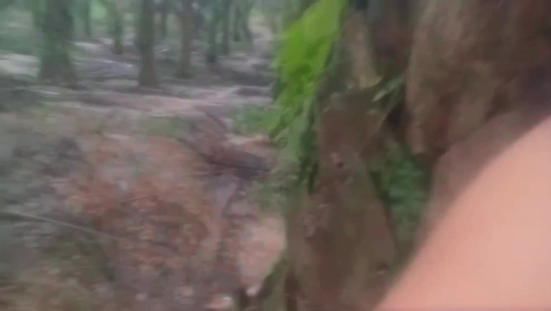 Citra: Ibu tiri sange ini ngentot tarzan di hutan sampai dia...