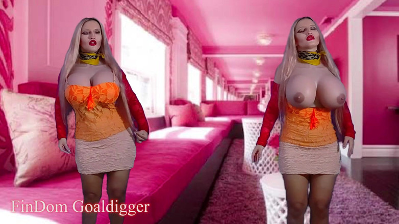 FinDom Goaldigger: Invisible witnesses JOI computer game