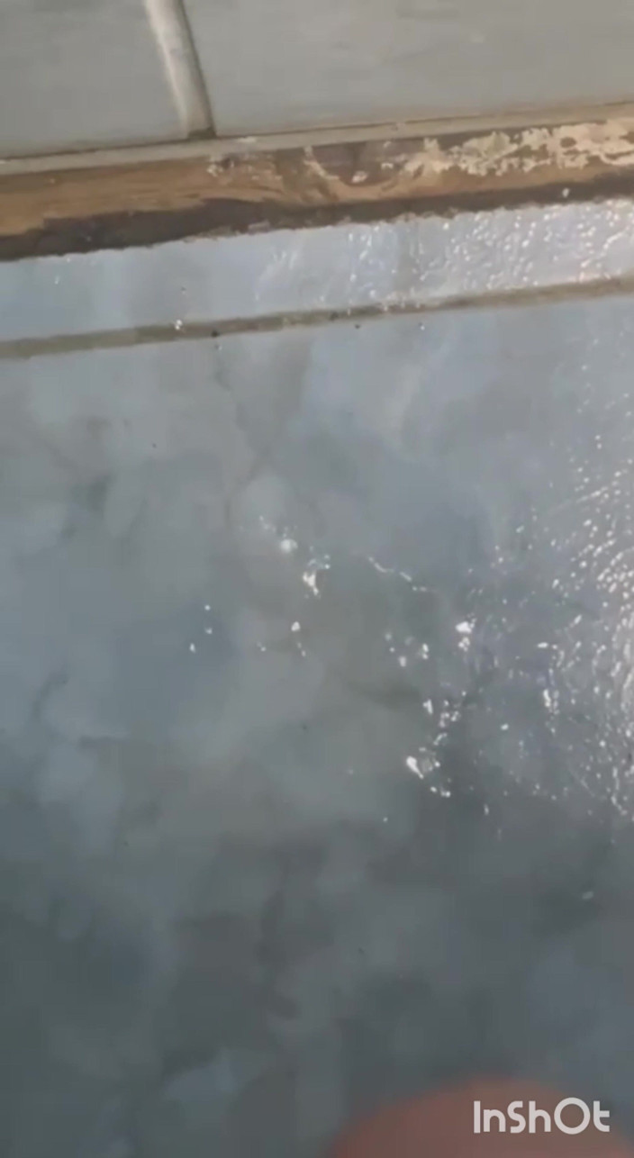 dragondragos2026: Sperma