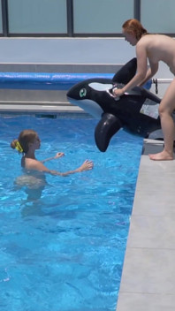 Meninas lésbicas estão se divertindo em uma piscina com um tubarão inflável