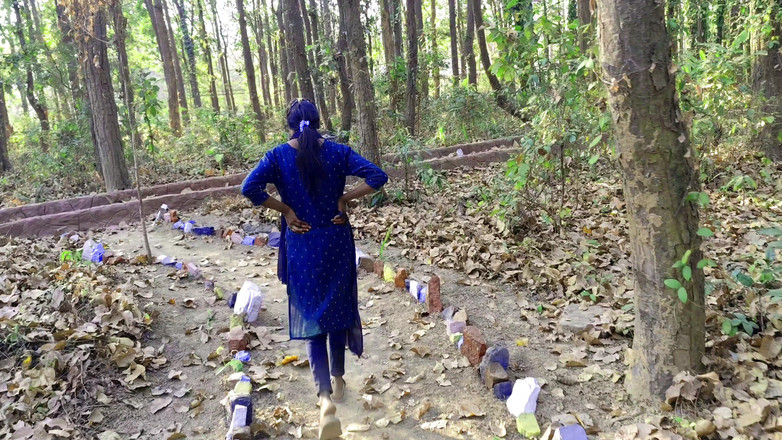 Ankush raj: Моя ступенька была вызвана сегодня в парк и поместила ее в комнату