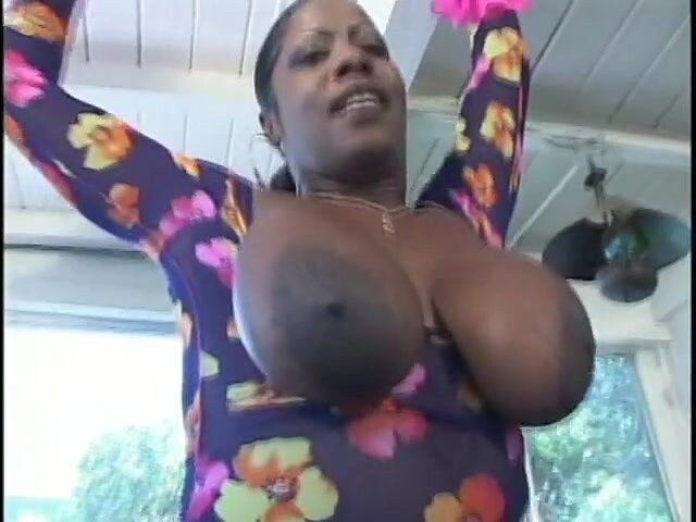 Fuck me Hard: Ogromny czarny kutas z trudem mieści się w dziurach hebanowej...