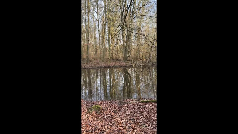 NaomiPerv: Naomi在树林里散步时变得