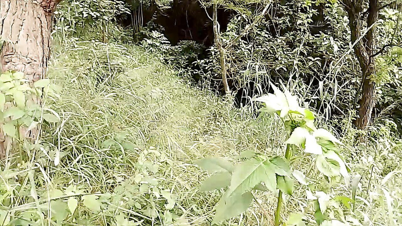 Gangbang straight: Versa fahişenin erkek arkadaşı ormanda çıplak dans ediyor